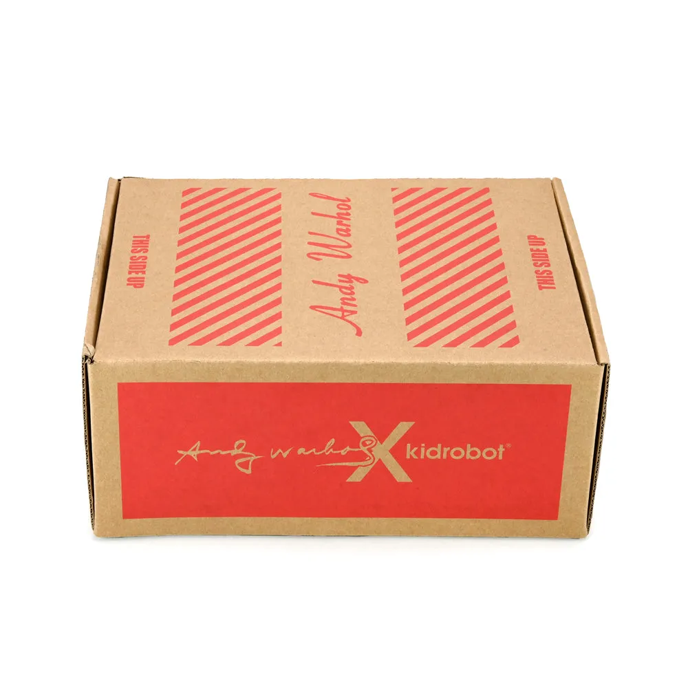 Andy Warhol Pop Art Collection Dunny Box One by Kidrobot