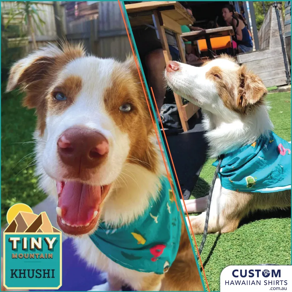 Custom Dog Bandanas