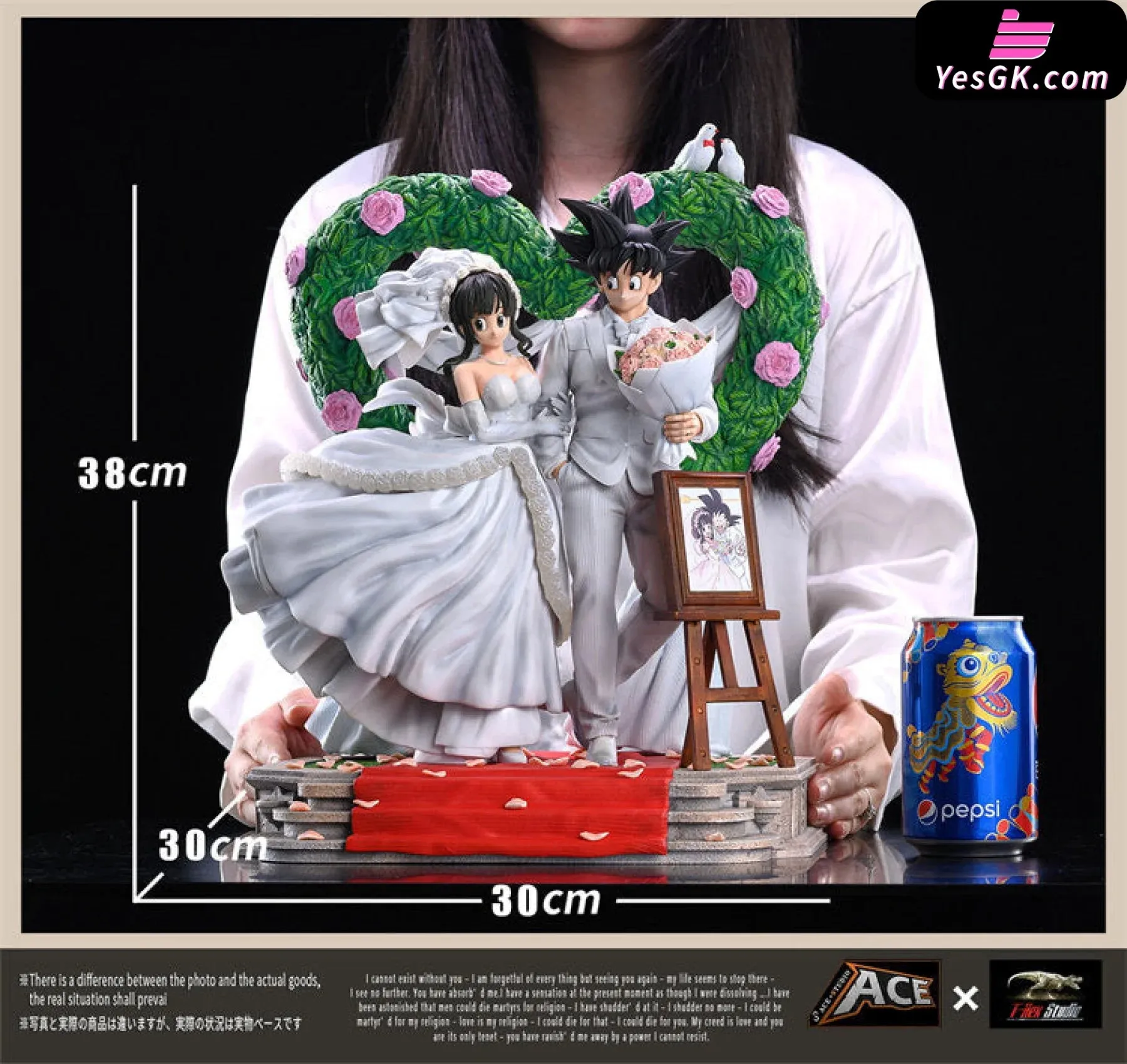 Dragon Ball Goku And Chichi Resin Statue - Ace Studio X T-Rex Studio [In Stock]