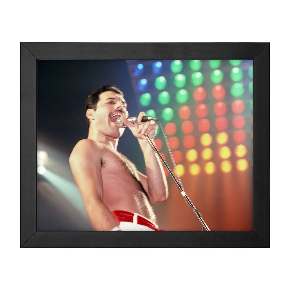 Freddie Mercury Joe Louis Arena 1980 Collector's Photo Print