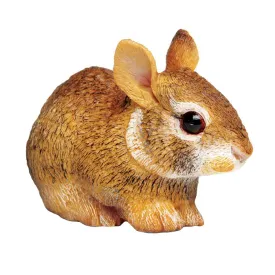Safari Eastern Cottontail Rabbit Baby