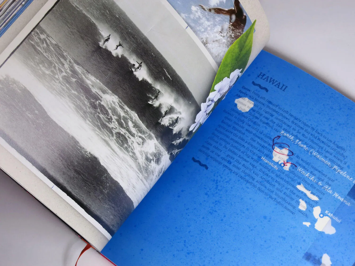 The Endless Summer Limited Edition Book & Box Set